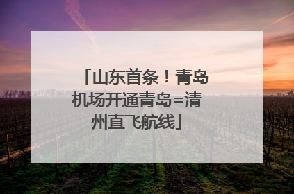 山东首条！青岛机场开通青岛=清州直飞航线