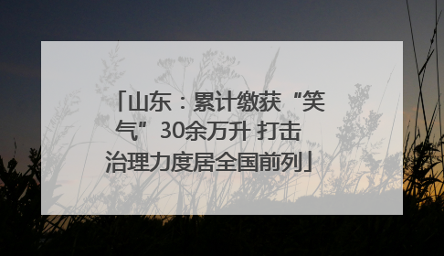 山东：累计缴获“笑气”30余万升 打击治理力度居全国前列