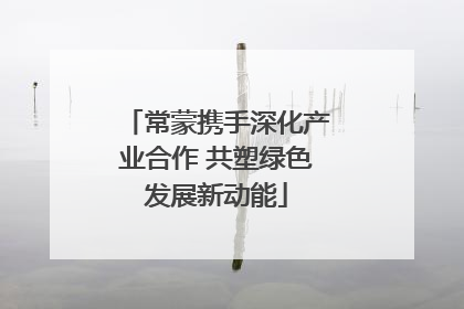 常蒙携手深化产业合作 共塑绿色发展新动能