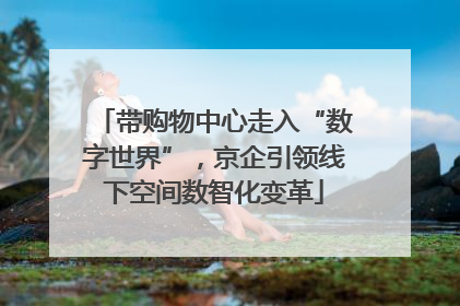 带购物中心走入“数字世界”，京企引领线下空间数智化变革