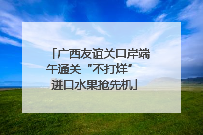 广西友谊关口岸端午通关“不打烊” 进口水果抢先机