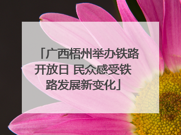广西梧州举办铁路开放日 民众感受铁路发展新变化