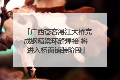 广西苍容浔江大桥完成钢箱梁环缝焊接 将进入桥面铺装阶段