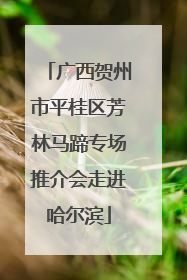 广西贺州市平桂区芳林马蹄专场推介会走进哈尔滨