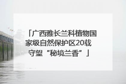广西雅长兰科植物国家级自然保护区20载守望“秘境兰香”