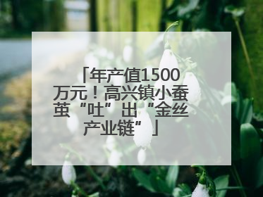 年产值1500万元！高兴镇小蚕茧“吐”出“金丝产业链”