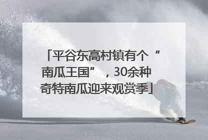 平谷东高村镇有个“南瓜王国”，30余种奇特南瓜迎来观赏季