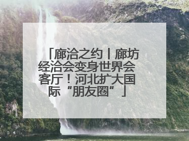 廊洽之约丨廊坊经洽会变身世界会客厅！河北扩大国际“朋友圈”