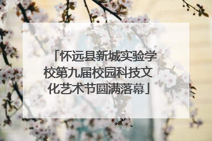 怀远县新城实验学校第九届校园科技文化艺术节圆满落幕