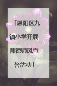 恩阳区九镇小学开展师德师风宣誓活动