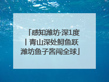 感知潍坊·深1度丨青山深处鲟鱼跃 潍坊鱼子酱闯全球