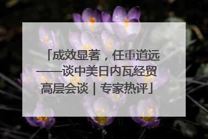 成效显著，任重道远——谈中美日内瓦经贸高层会谈｜专家热评