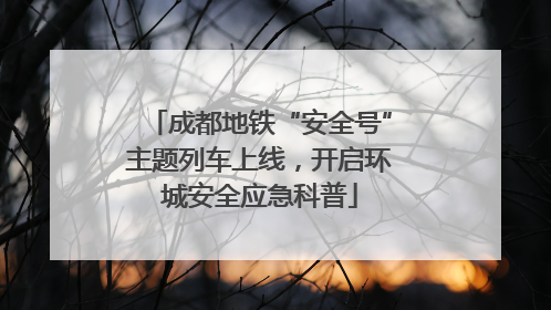 成都地铁“安全号”主题列车上线，开启环城安全应急科普