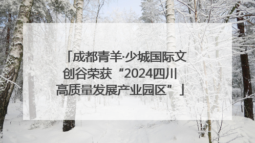 成都青羊·少城国际文创谷荣获“2024四川高质量发展产业园区”