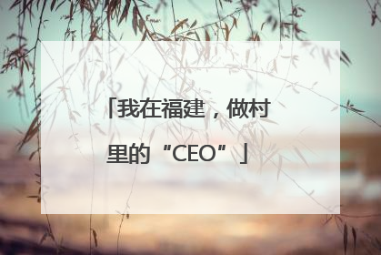 我在福建，做村里的“CEO”