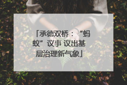 承德双桥：“蚂蚁”议事 议出基层治理新气象
