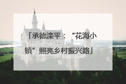 承德滦平：“花海小镇”照亮乡村振兴路