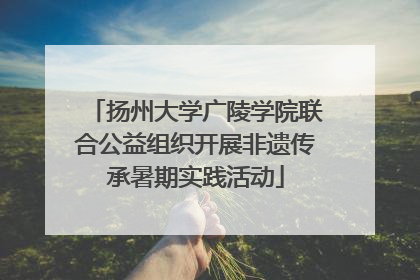 扬州大学广陵学院联合公益组织开展非遗传承暑期实践活动