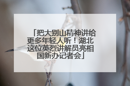 把大别山精神讲给更多年轻人听！湖北这位英烈讲解员亮相国新办记者会