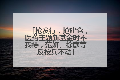 抢发行，抢建仓，医药主题新基金时不我待，范妍、徐彦等反按兵不动