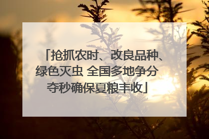 抢抓农时、改良品种、绿色灭虫 全国多地争分夺秒确保夏粮丰收