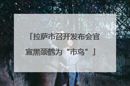 拉萨市召开发布会官宣黑颈鹤为“市鸟”