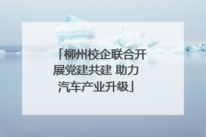 柳州校企联合开展党建共建 助力汽车产业升级