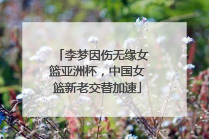 李梦因伤无缘女篮亚洲杯，中国女篮新老交替加速