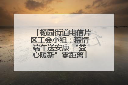杨园街道电信片区工会小组：粽情端午送安康 “益心暖新”零距离