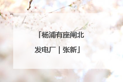 杨浦有座闸北发电厂｜张新