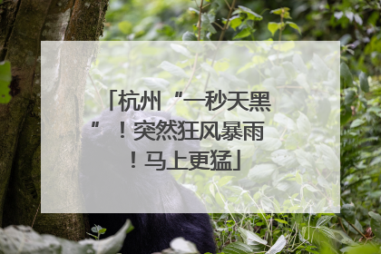 杭州“一秒天黑”！突然狂风暴雨！马上更猛