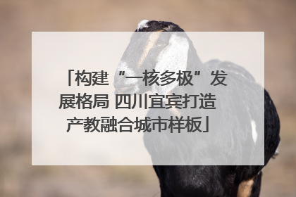 构建“一核多极”发展格局 四川宜宾打造产教融合城市样板