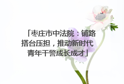 枣庄市中法院：铺路搭台压担，推动新时代青年干警成长成才