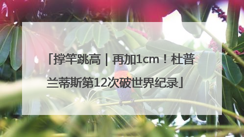 撑竿跳高｜再加1cm！杜普兰蒂斯第12次破世界纪录