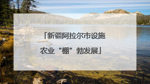 新疆阿拉尔市设施农业“棚”勃发展