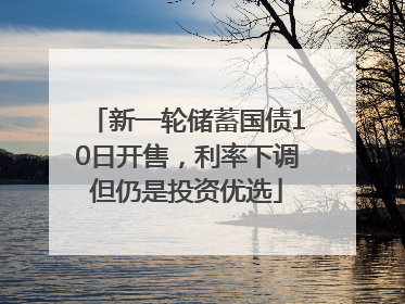 新一轮储蓄国债10日开售，利率下调但仍是投资优选