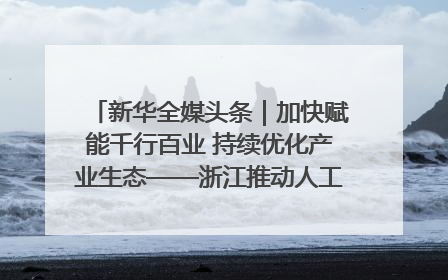 新华全媒头条｜加快赋能千行百业 持续优化产业生态——浙江推动人工智能健康有序发展观察