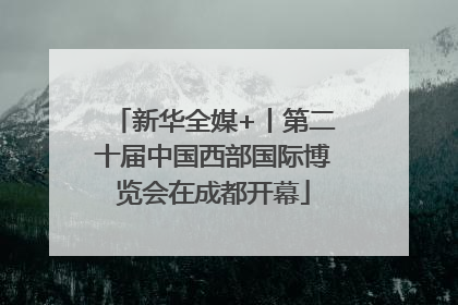 新华全媒+丨第二十届中国西部国际博览会在成都开幕