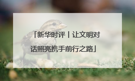 新华时评丨让文明对话照亮携手前行之路