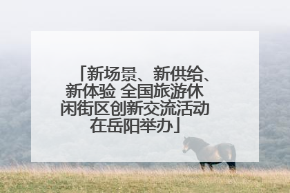新场景、新供给、新体验 全国旅游休闲街区创新交流活动在岳阳举办