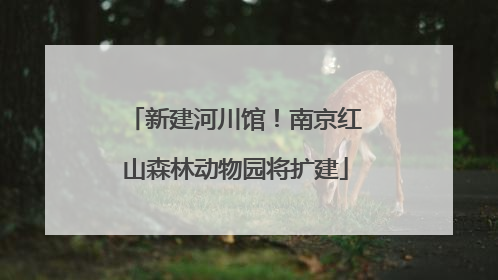 新建河川馆！南京红山森林动物园将扩建