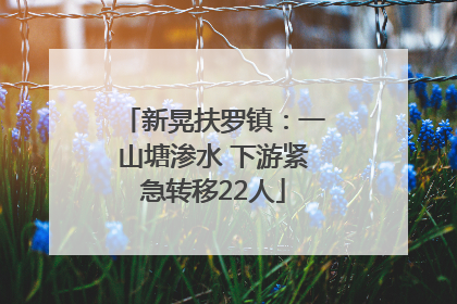 新晃扶罗镇：一山塘渗水 下游紧急转移22人