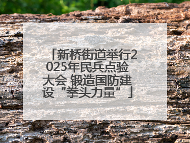 新桥街道举行2025年民兵点验大会 锻造国防建设“拳头力量”