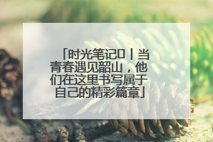 时光笔记⑪丨当青春遇见韶山，他们在这里书写属于自己的精彩篇章