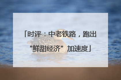 时评：中老铁路，跑出“鲜甜经济”加速度
