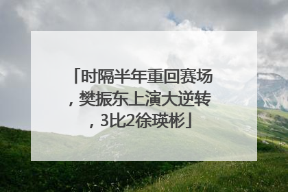 时隔半年重回赛场，樊振东上演大逆转，3比2徐瑛彬