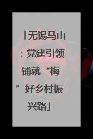 无锡马山：党建引领 铺就“梅”好乡村振兴路