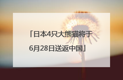 日本4只大熊猫将于6月28日送返中国