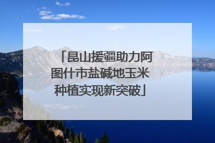 昆山援疆助力阿图什市盐碱地玉米种植实现新突破