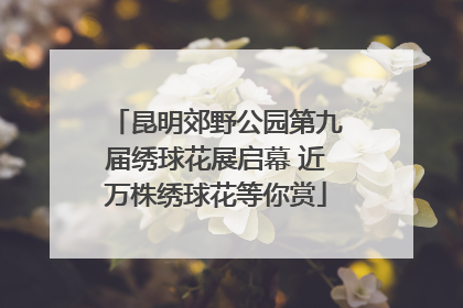 昆明郊野公园第九届绣球花展启幕 近万株绣球花等你赏